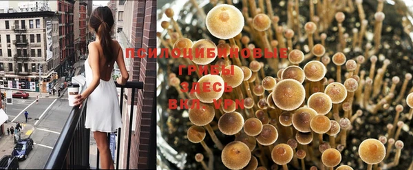 мет Ахтубинск