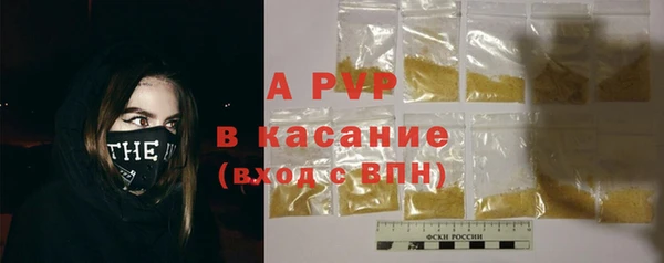 прущие грибы Бабаево
