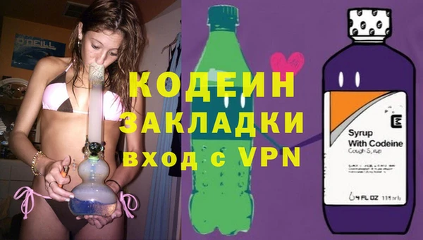 прущие грибы Бабаево