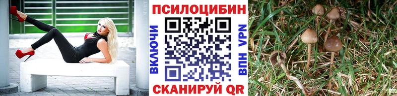 Галлюциногенные грибы мухоморы  Мурманск 