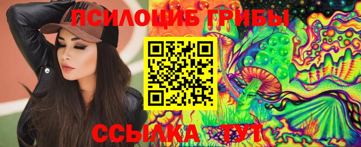Галлюциногенные грибы мухоморы Мурманск