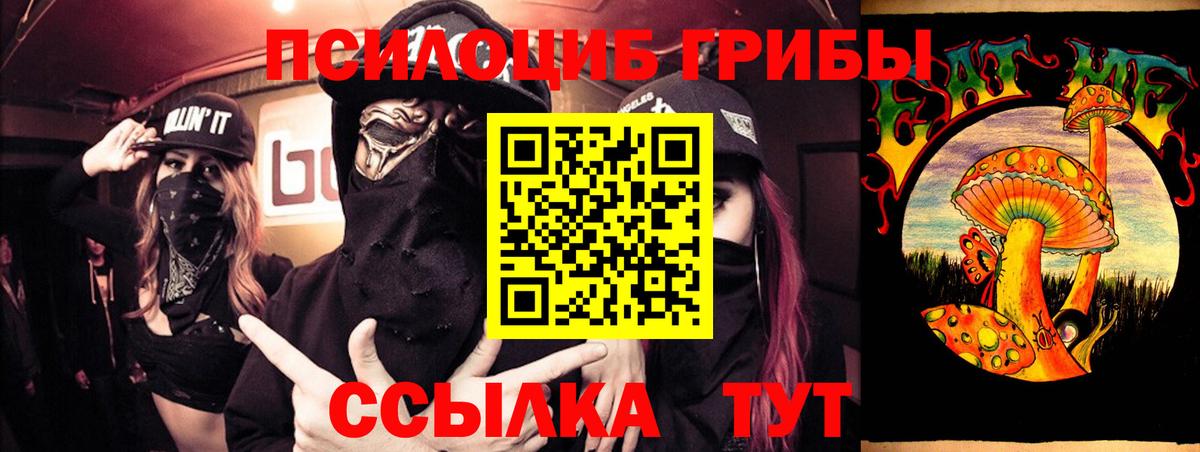 Псилоцибиновые грибы Psilocybine cubensis Мурманск