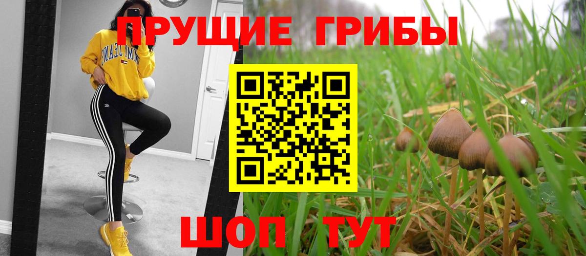 Псилоцибиновые грибы Psilocybe  Галлюциногенные грибы ЛСД  Мурманск  Вход с VPN 